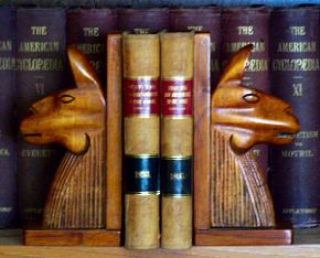 Peruvian Llama Bookends