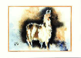"Grand Teton" Llama Note Card