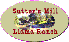Sutter's Mill Llama Ranch